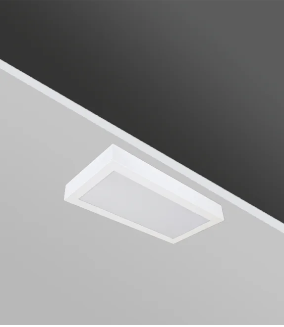 PRIZA 30x60 20W 3000K Sac Çerçeveli Prizmatik Camlı Sıva Üstü Backlight Armatürler